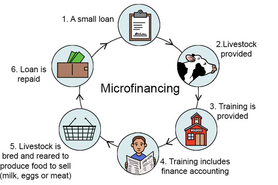 Microfinance System Software